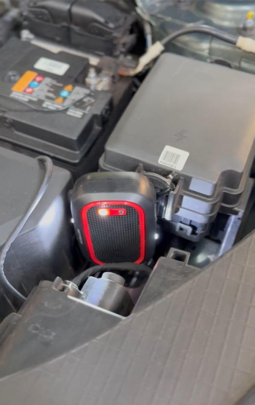 Suresh's Echo Repel installed in his Maruti Swift engine bay