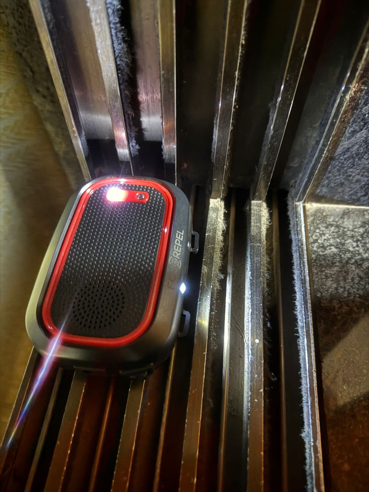 Karan's Echo Repel installed beside the apartment entry frame