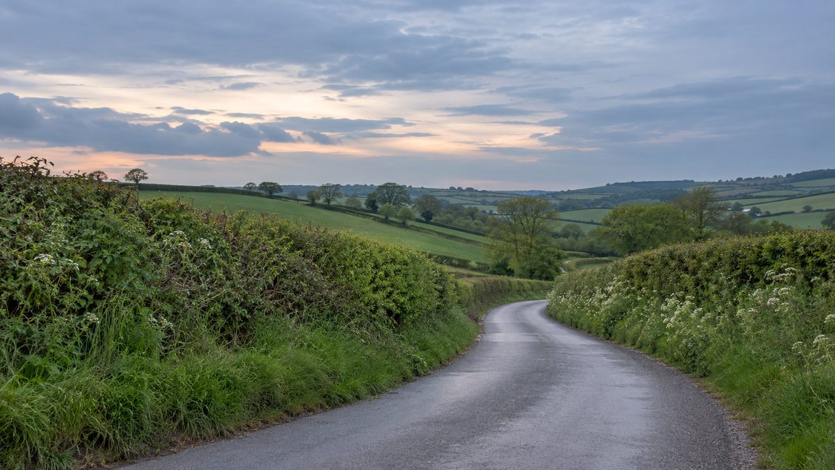 A quiet empty lane winds between low hedges and rolling fields beneath a pale evening sky.
